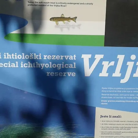 Vrljika,with Private Pool,bikes,garage
